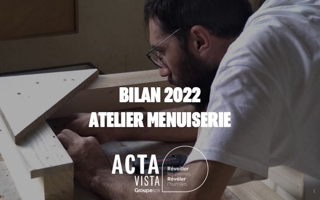 Bilan 2022 Acta vista