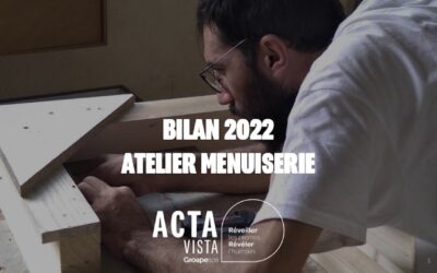 Bilan 2022 Acta vista